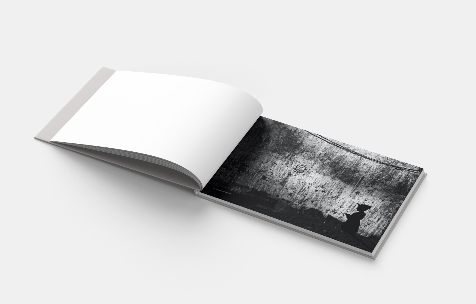 Livre photographique H de Gregory Dargent chez Saturne Éditions
